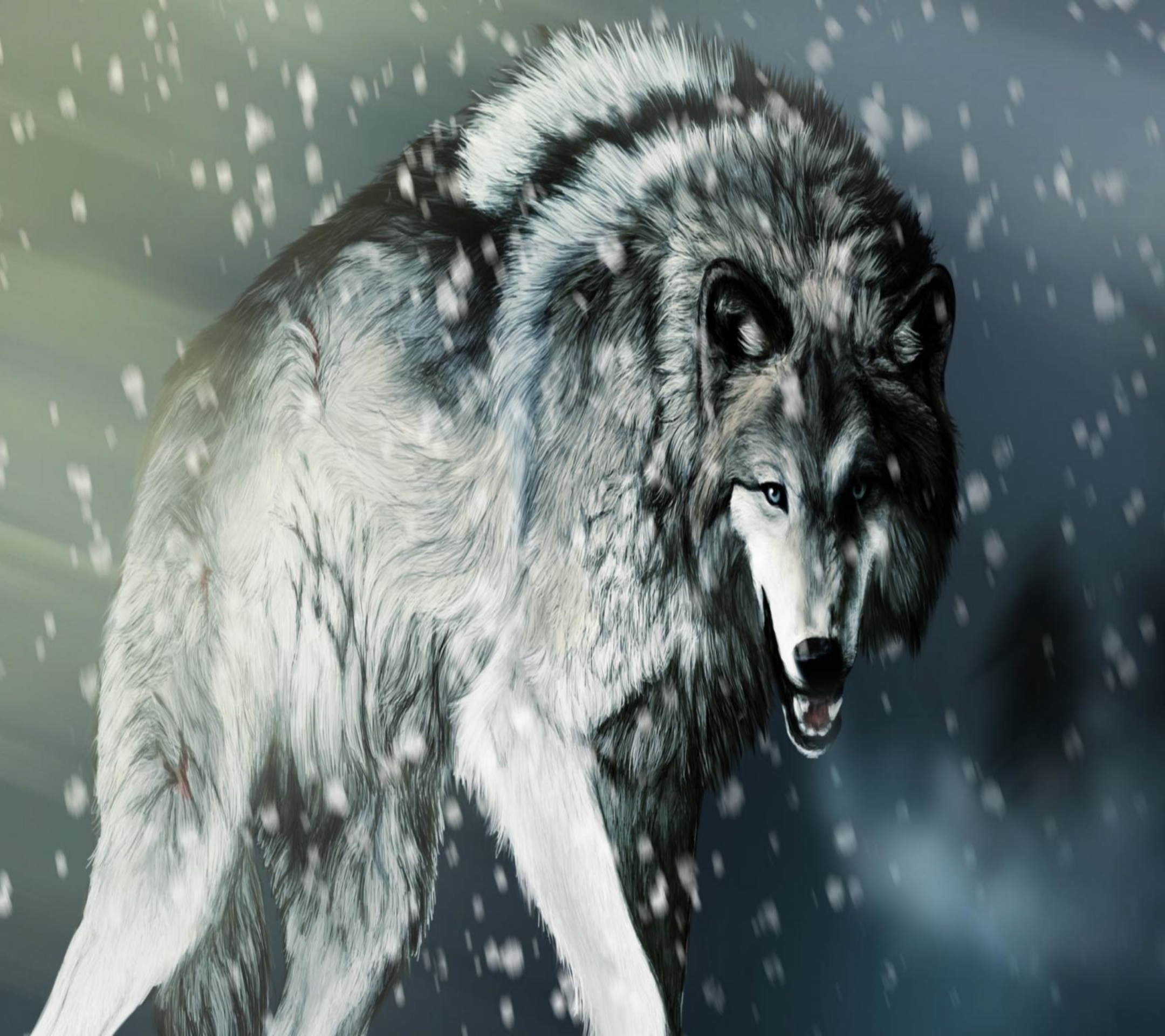 Download Angry Wolf 2160 x 1920 Wallpapers - 4511215 | mobile9