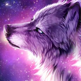 Free wolf HD Wallpapers | mobile9